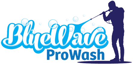 BlueWave ProWash Logo
